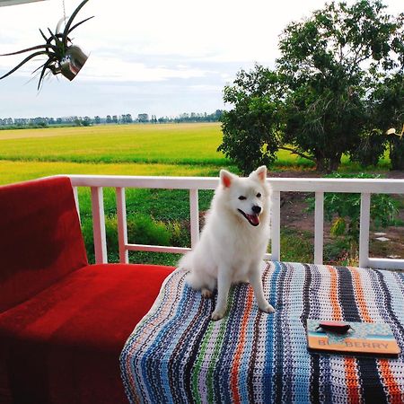 The 99 Cottage Suphanburi Extérieur photo
