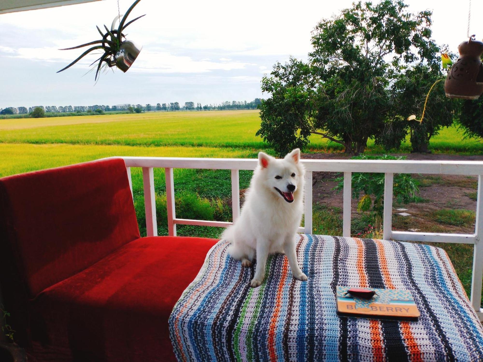 The 99 Cottage Suphanburi Extérieur photo
