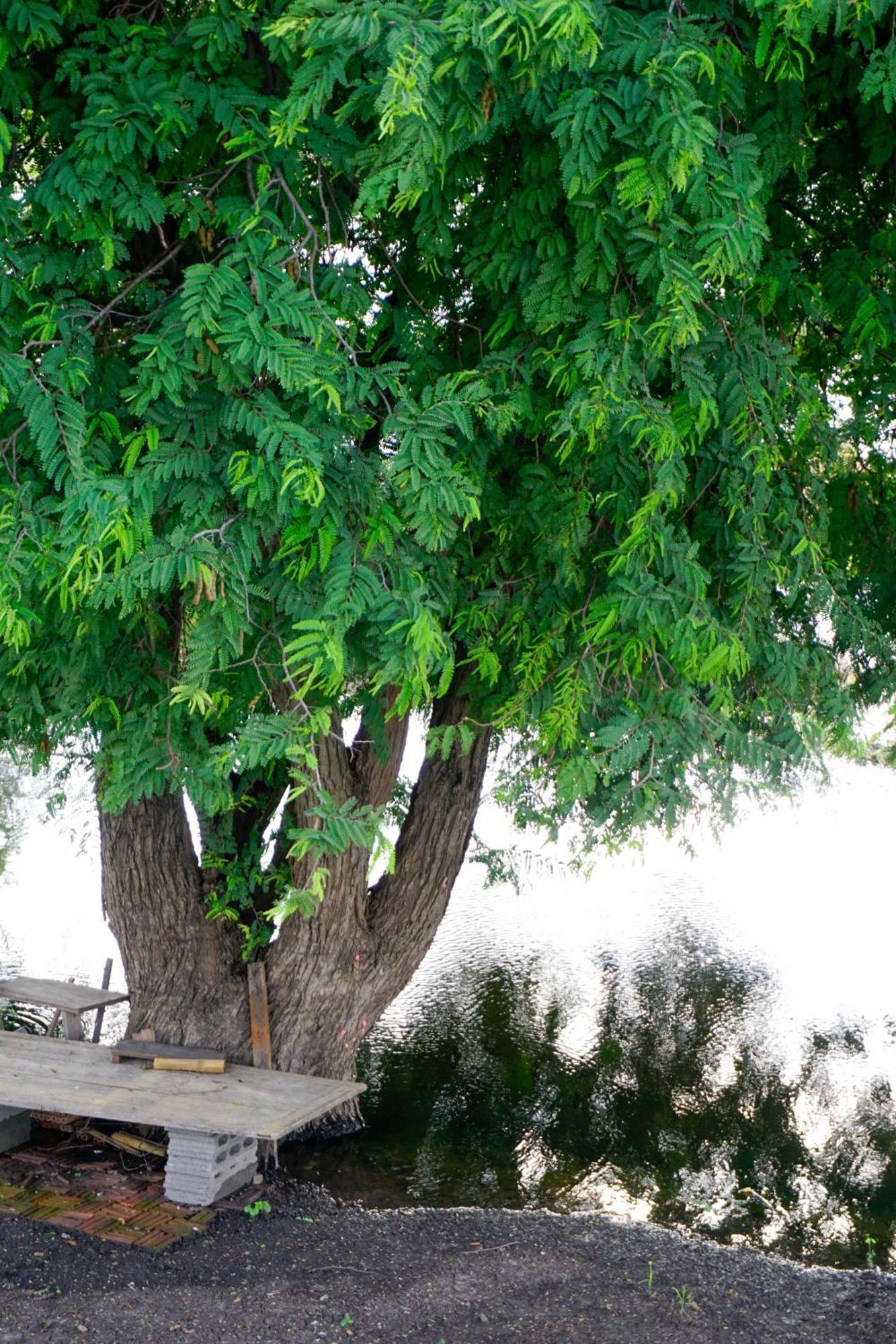 The 99 Cottage Suphanburi Extérieur photo